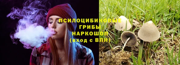 соль ск Михайловск