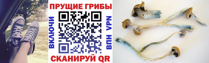 Галлюциногенные грибы мухоморы  Серпухов 